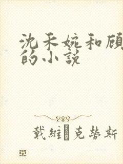 沈禾婉和顾青彦的小说