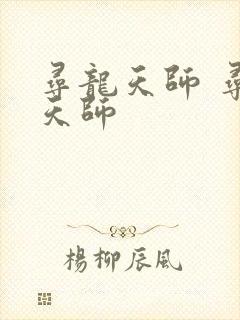 寻龙天师 寻龙天师