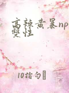 高辣黄暴np文双性