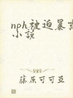 nph被迫暴露小说