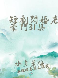短剧闪婚老公是豪门31集