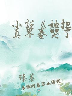 小说《她把全修真界卷哭了》
