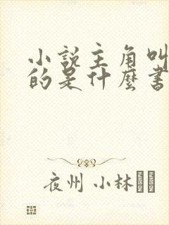 小说主角叫林凡的是什么书