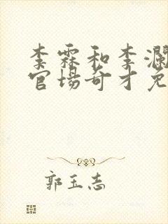 李霖和李澜小说官场奇才免费阅读