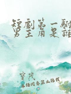 短剧第一驸马爷男主角是谁