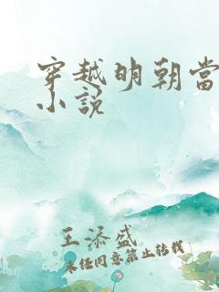 穿越明朝当老大小说