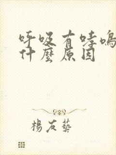 呼吸有哮鸣音是什么原因