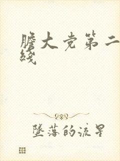 胆大党第二季在线