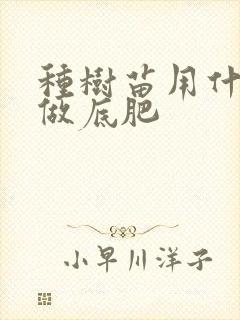 种树苗用什么肥做底肥