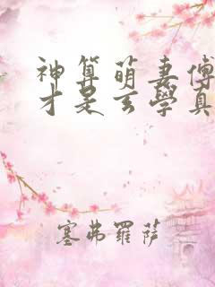 神算萌妻傅太太才是玄学真大佬下载