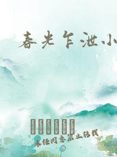 春光乍泄小说