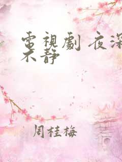 电视剧 夜深人不静