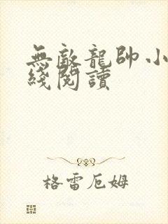 无敌龙帅小说在线阅读
