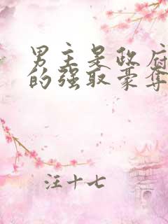 男主是政府高官的强取豪夺高干文