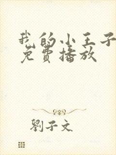 我的小王子电影免费播放