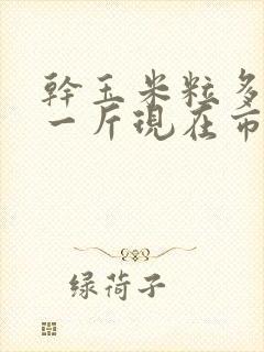 干玉米粒多少钱一斤现在市场价