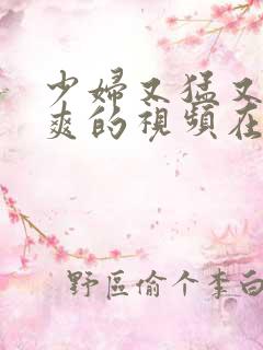 少妇又猛又进又爽的视频在线播放 少妇又猛又进又爽的视频在线播放