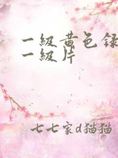 一级黄色录像片一级片