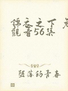 锦衣之下 免费观看56集