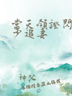 当天领证闪婚陆少追妻