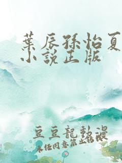 叶辰孙怡夏若雪小说正版