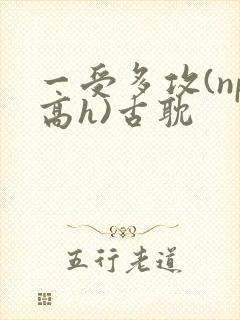 一受多攻(np高h)古耽