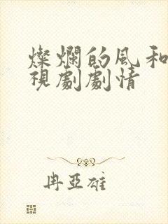 灿烂的风和海电视剧剧情