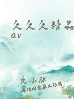 久久久精品另类av