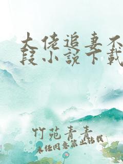 大佬追妻不择手段小说下载txt