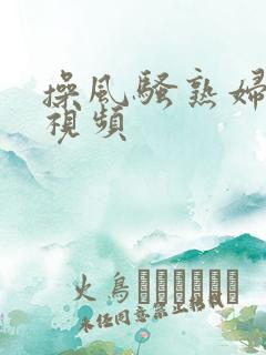 操风骚熟妇的逼视频