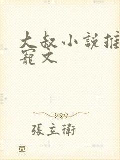 大叔小说推荐甜宠文