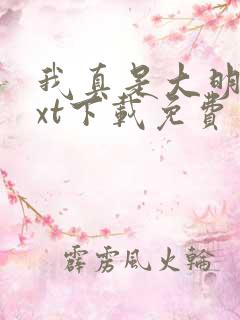 我真是大明星txt下载免费