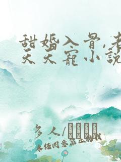 甜婚入骨,老公天天宠小说