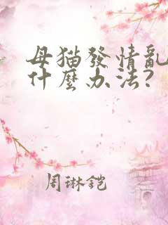 母猫发情乱尿有什么办法?