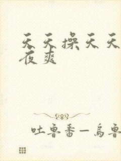 天天操天天日夜夜爽