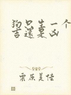 狗只生一个独狗吉还是凶