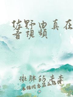 佐野由真在线观看视频