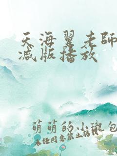 天海翼老师无删减版播放