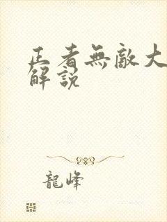 正者无敌大结局解说