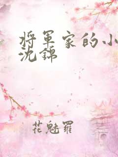 将军家的小娘子沈锦