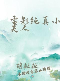 电影纯真小镇的夫人
