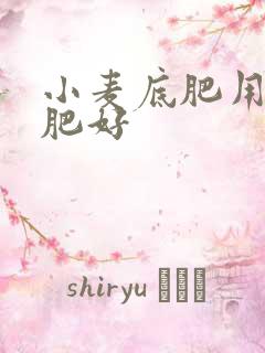 小麦底肥用什么肥好