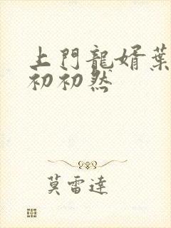 上门龙婿叶辰萧初初然