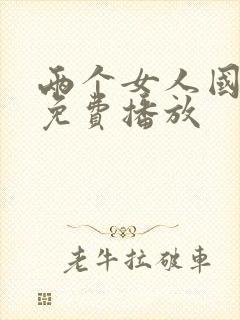 两个女人国语版免费播放