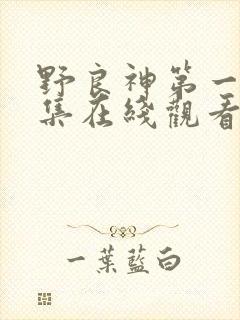 野良神第一季全集在线观看免费