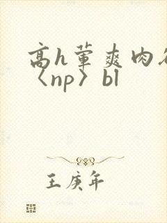 高h荤爽肉欲文〈np〉bl