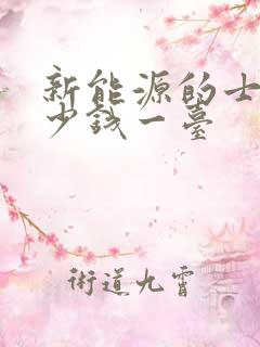 新能源的士车多少钱一台