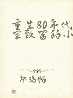 重生80年代发家致富的小说