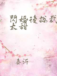 闪婚后总裁娇妻太甜