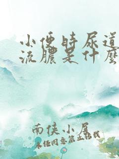 小便时尿道刺痛流脓是什么原因